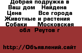 Добрая подружка,в Ваш дом!!!Найдена › Цена ­ 10 - Все города Животные и растения » Собаки   . Московская обл.,Реутов г.